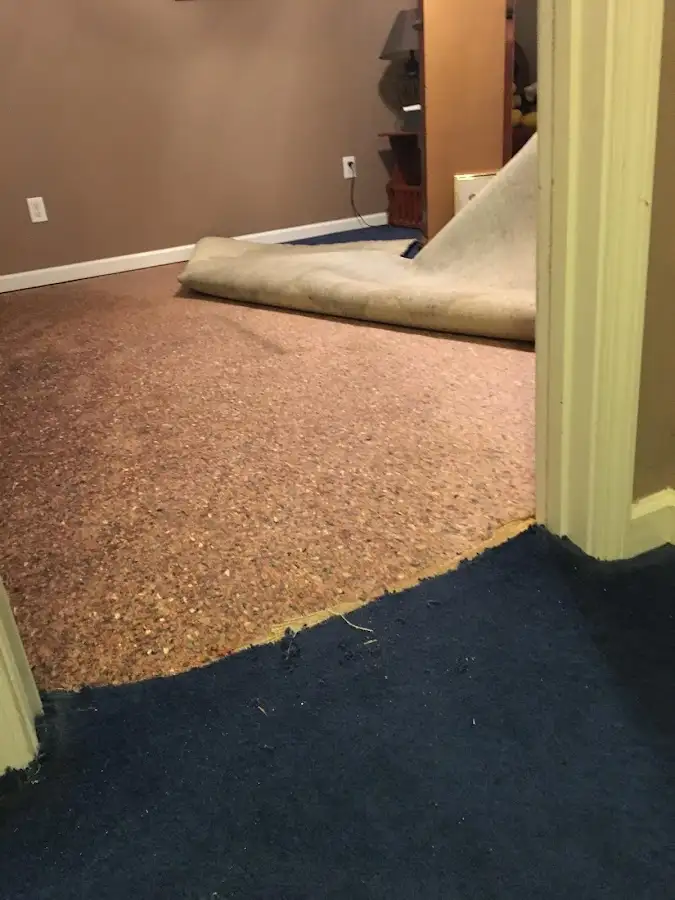 Carpet pad removal revealing water damage during Water Mitigation Services in Pratt