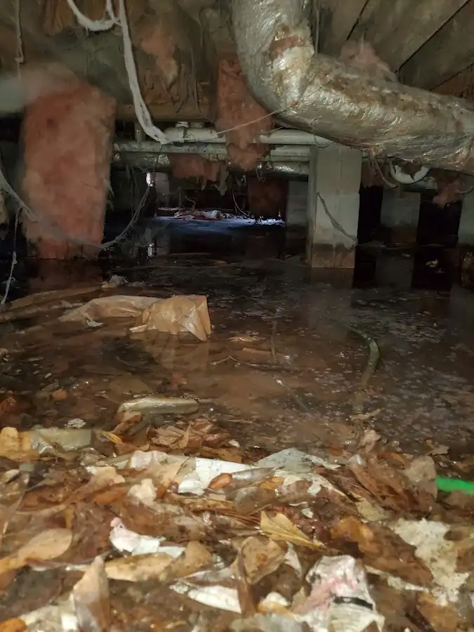 Crawl space flood assessment for Leak Detection & Repair in Pratt